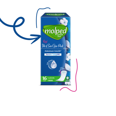 Molped First &amp; Last Day Pantyliners